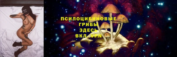 тгк Абинск