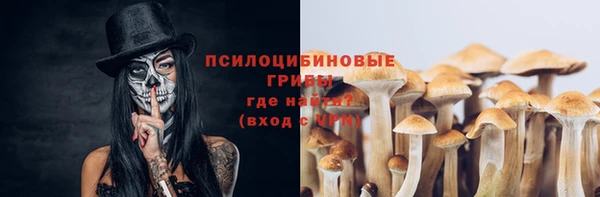 тгк Абинск