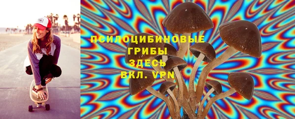 МДПВ Абаза