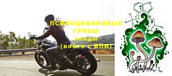 тгк Абинск