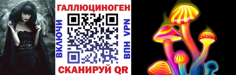 Псилоцибиновые грибы Psilocybe кракен маркетплейс Норильск наркотики
