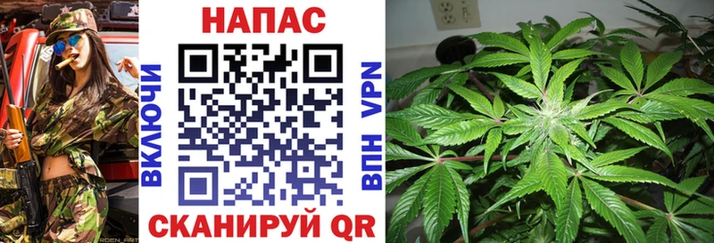 где купить наркоту Норильск Канабис SATIVA & INDICA